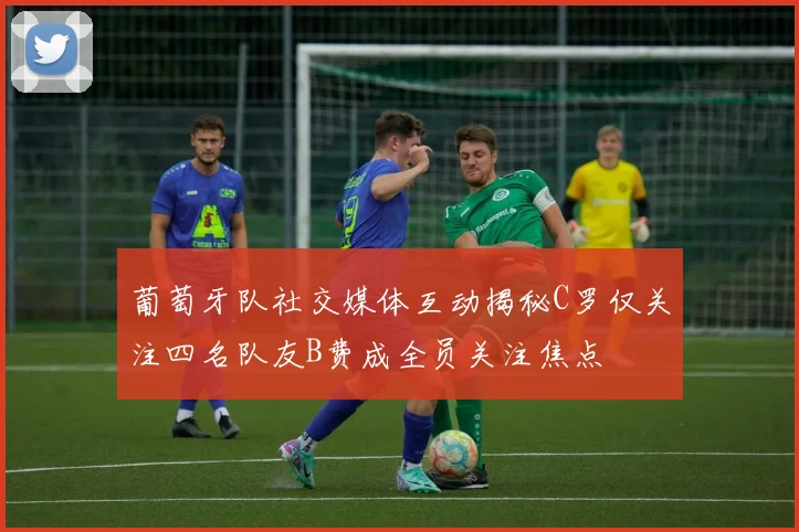 葡萄牙队社交媒体互动揭秘C罗仅关注四名队友B费成全员关注焦点