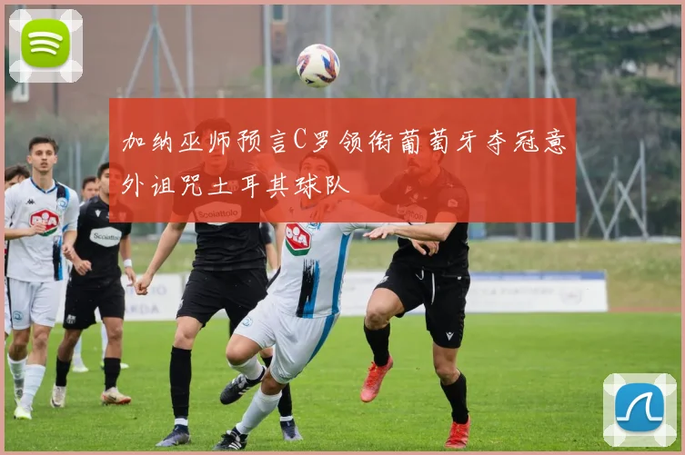 加纳巫师预言C罗领衔葡萄牙夺冠意外诅咒土耳其球队